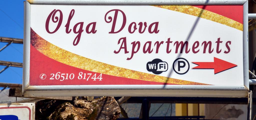 Olga Dova Apartments Ioannina Luaran gambar